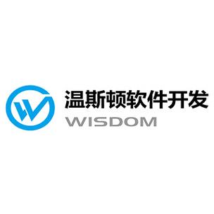 武漢溫斯頓軟件 信息系統(tǒng)集成服務(wù)的創(chuàng)新引領(lǐng)者